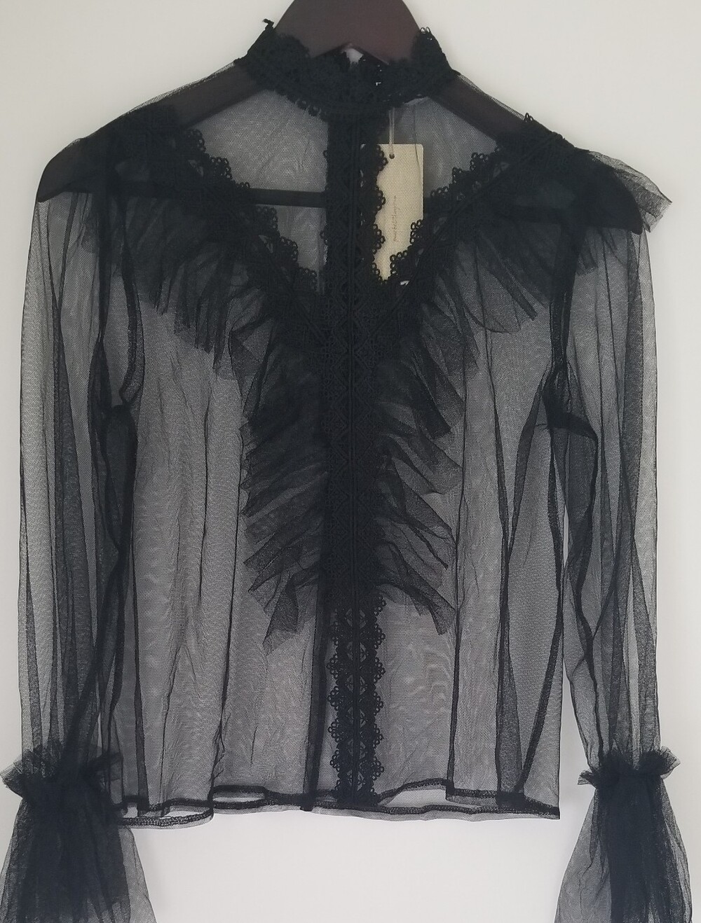 Whimsical Sheer Black Ruffle Lace-Trim Women’s Top